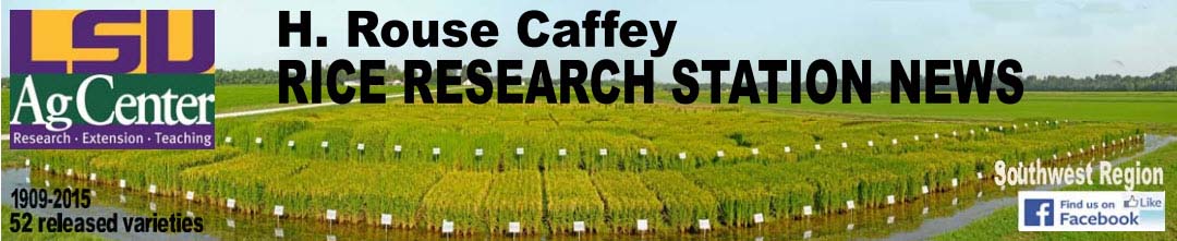 2017 H. Rouse Caffey Rice Research Station Newsletters